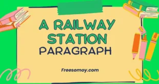 A Railway Station Paragraph