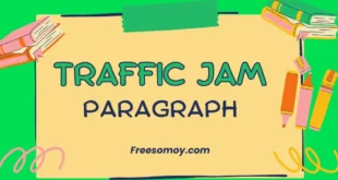 Traffic Jam Paragraph