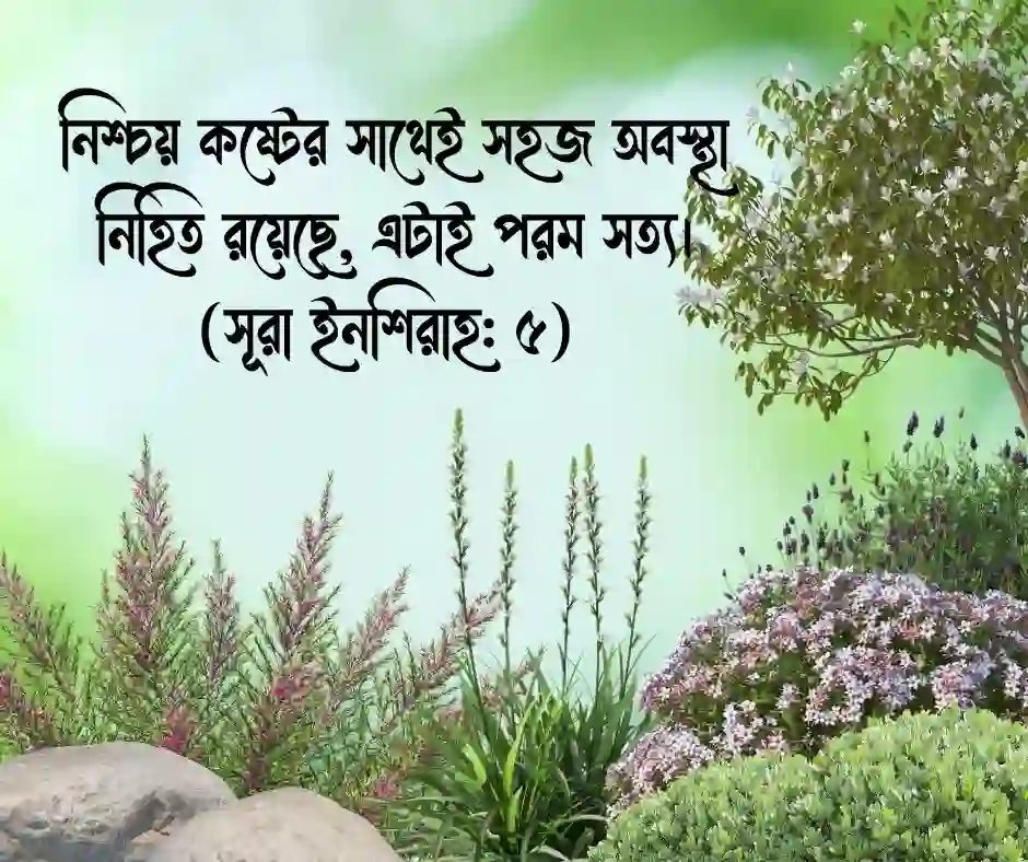 অসুস্থতা নিয়ে কোরআনের আয়াত