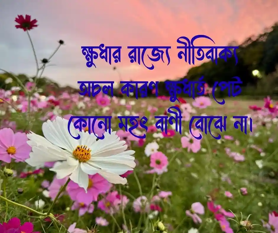 ক্ষুধা নিয়ে উক্তি