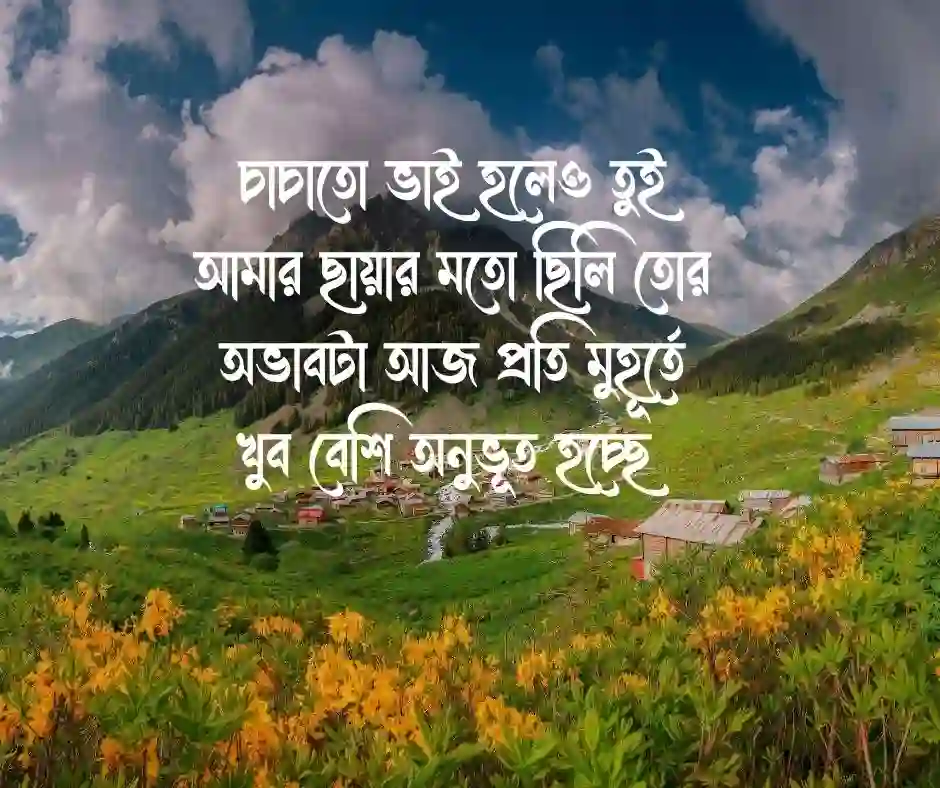 চাচাতো ভাই বিদেশ যাওয়ার ক্যাপশন