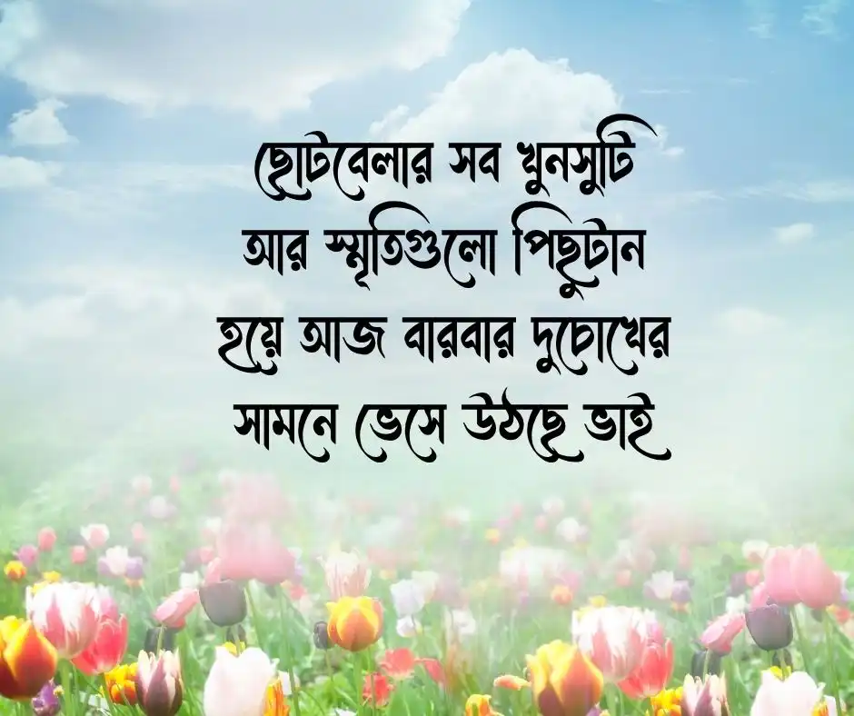 চাচাতো ভাই বিদেশ যাওয়ার স্ট্যাটাস