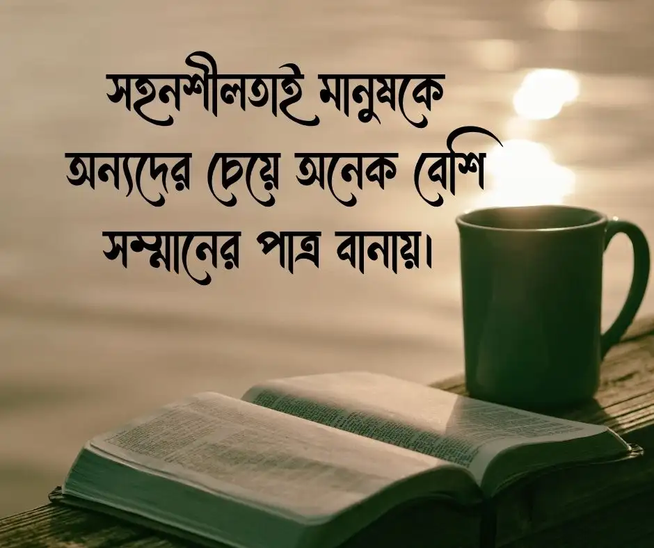 শিক্ষামূলক ক্যাপশন শিক্ষনীয় ক্যাপশন