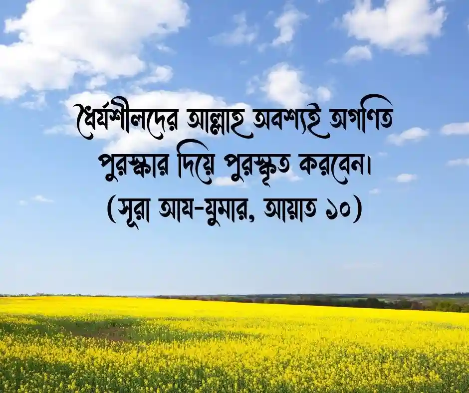 শিক্ষামূলক বাণী (কোরআন ও হাদিস থেকে)
