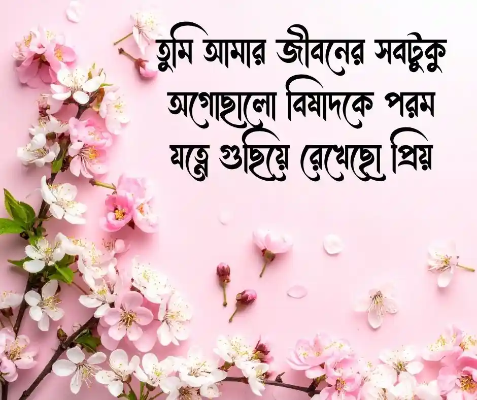 শুভ বিবাহ বার্ষিকী শুভেচ্ছা বার্তা&nbsp;