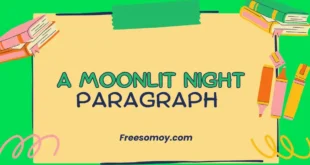 A Moonlit Night Paragraph