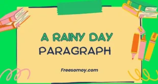A Rainy Day Paragraph
