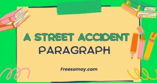 A Street Accident Paragraph