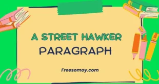A Street Hawker Paragraph
