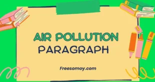 Air Pollution Paragraph