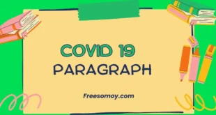 Covid 19 Paragraph
