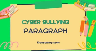 Cyber Bullying Paragraph