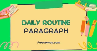 Daily Routine Paragraph