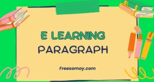E Learning Paragraph
