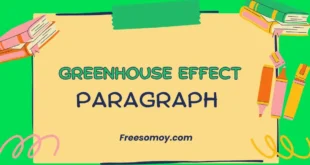 Greenhouse Effect Paragraph