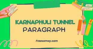 Karnaphuli Tunnel Paragraph