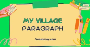 My Village Paragraph