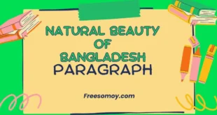 Natural Beauty Of Bangladesh Paragraph