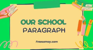 Our School Paragraph