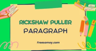 Rickshaw Puller Paragraph