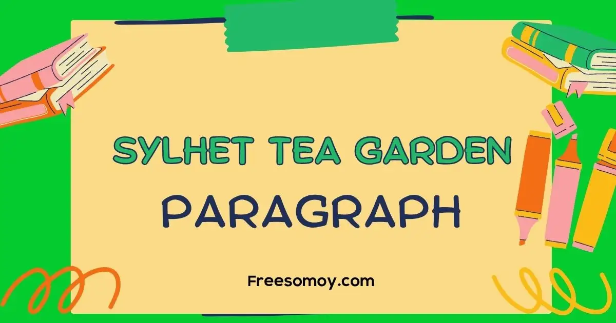 Sylhet Tea Garden Paragraph