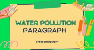 Water Pollution Paragraph