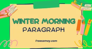 Winter Morning Paragraph