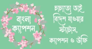 চাচাতো ভাই বিদেশ যাওয়ার স্ট্যাটাস, ক্যাপশন ও উক্তি