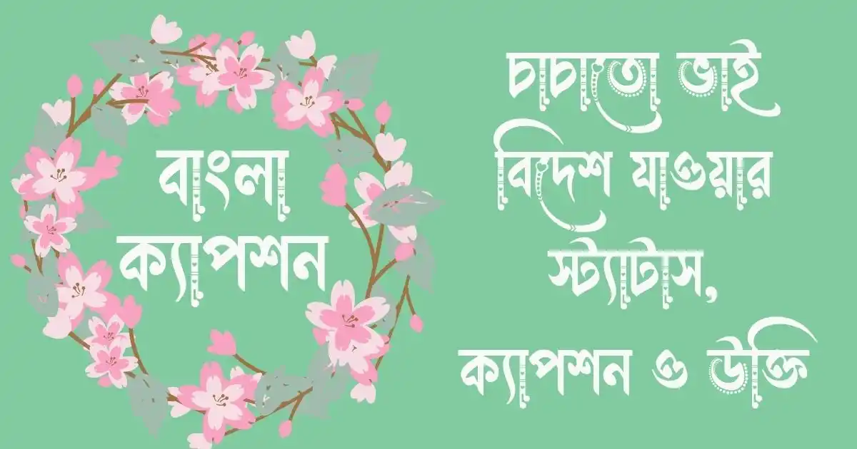 চাচাতো ভাই বিদেশ যাওয়ার স্ট্যাটাস, ক্যাপশন ও উক্তি
