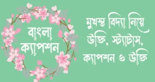 মুখস্ত বিদ্যা নিয়ে উক্তি, স্ট্যাটাস, ক্যাপশন ও উক্তি