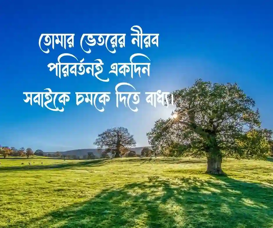 অনুপ্রেরণা মূলক ক্যাপশন মোটিভেশনাল ক্যাপশন
