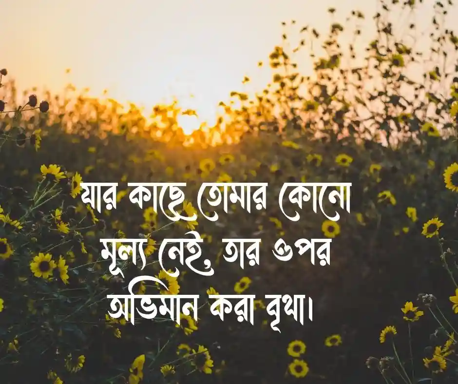 অভিমান নিয়ে ক্যাপশন Captions about Pride