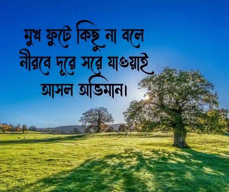 অভিমান নিয়ে ক্যাপশন Captions about Pride