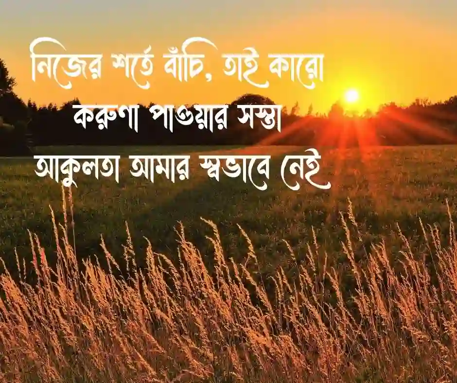 অ্যাটিটিউড স্ট্যাটাস বাংলা Attitude Status Bangla