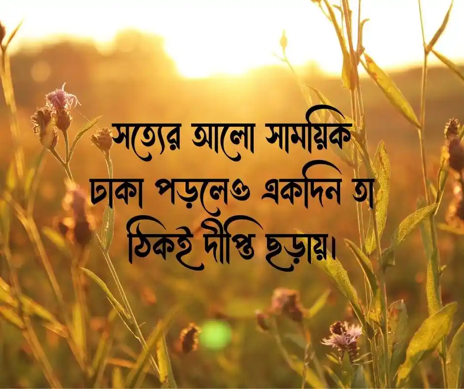 আলো নিয়ে উক্তি
