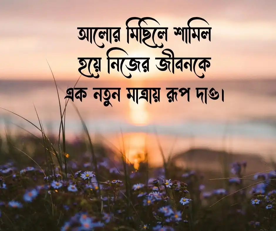 আলো নিয়ে ক্যাপশন