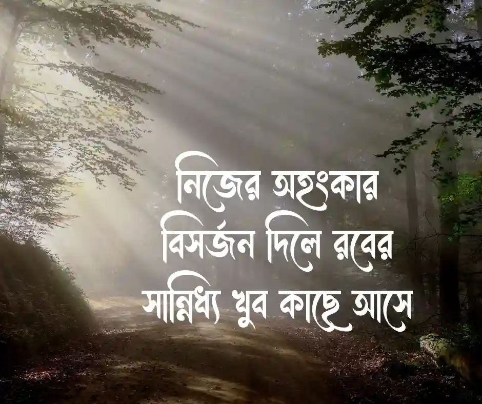ইসলামিক উক্তি Islamic Quotes Bangla