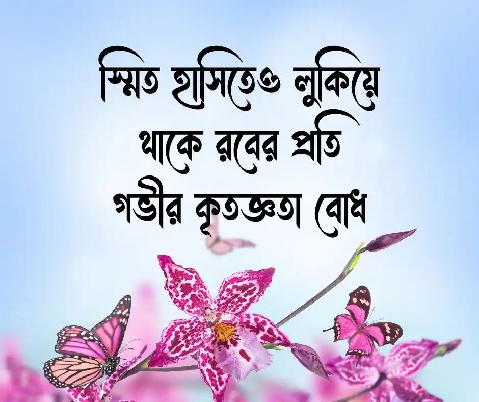 ইসলামিক স্ট্যাটাস পিকচার