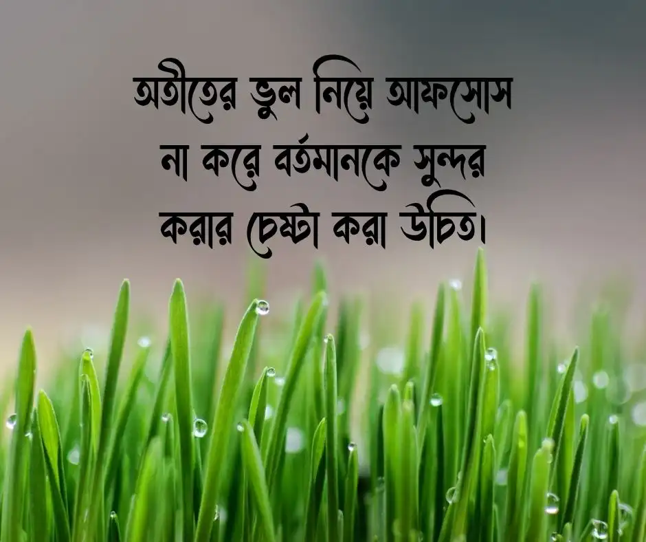উপদেশমূলক ক্যাপশন উপদেশমূলক স্ট্যাটাস