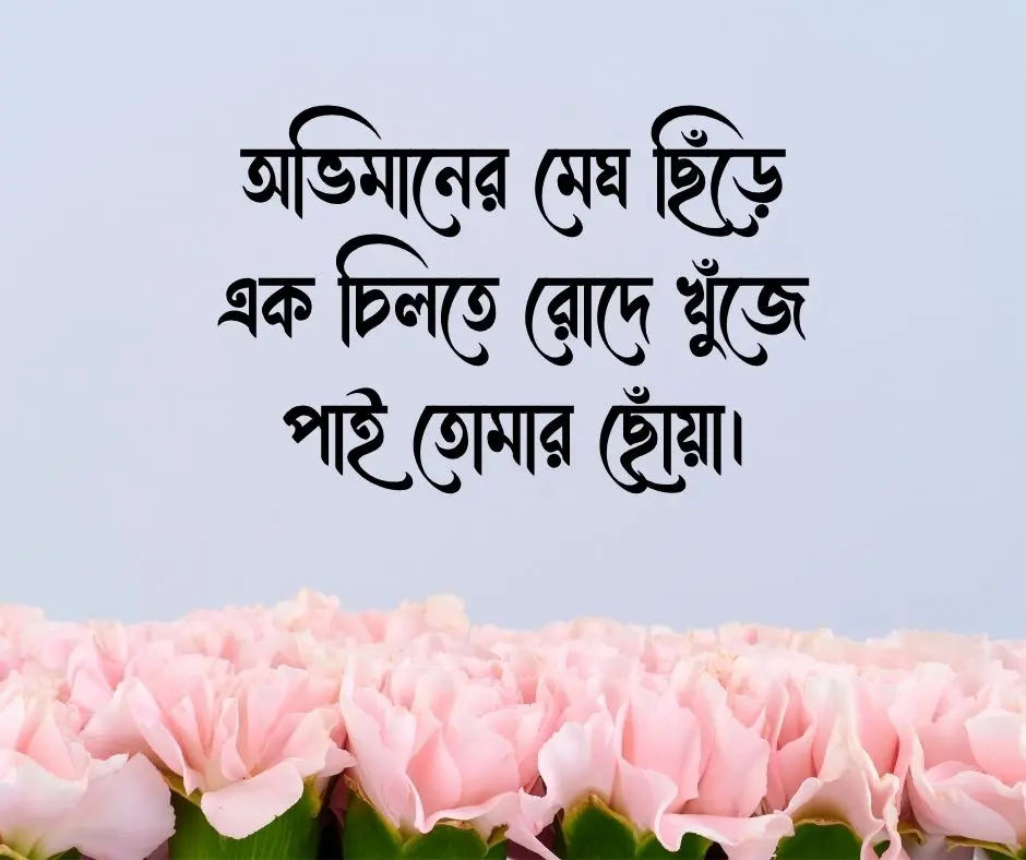কাব্যিক ক্যাপশন Poetic Caption