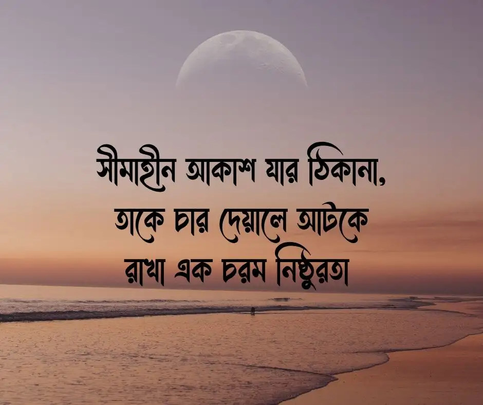 খাঁচার পাখি নিয়ে ক্যাপশন