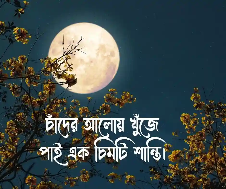 চাঁদ নিয়ে ছোট ক্যাপশন