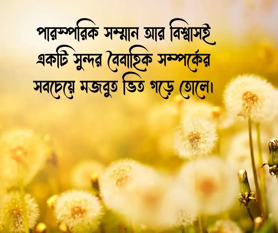 দাম্পত্য জীবন নিয়ে স্ট্যাটাস