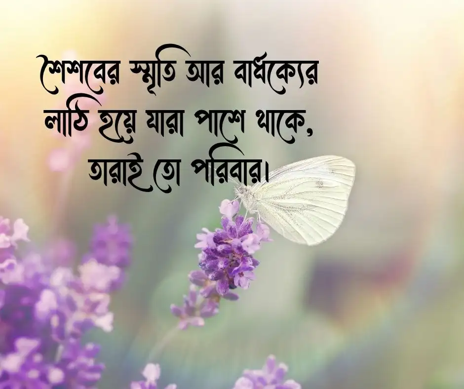 পরিবার নিয়ে ক্যাপশন Caption about Family