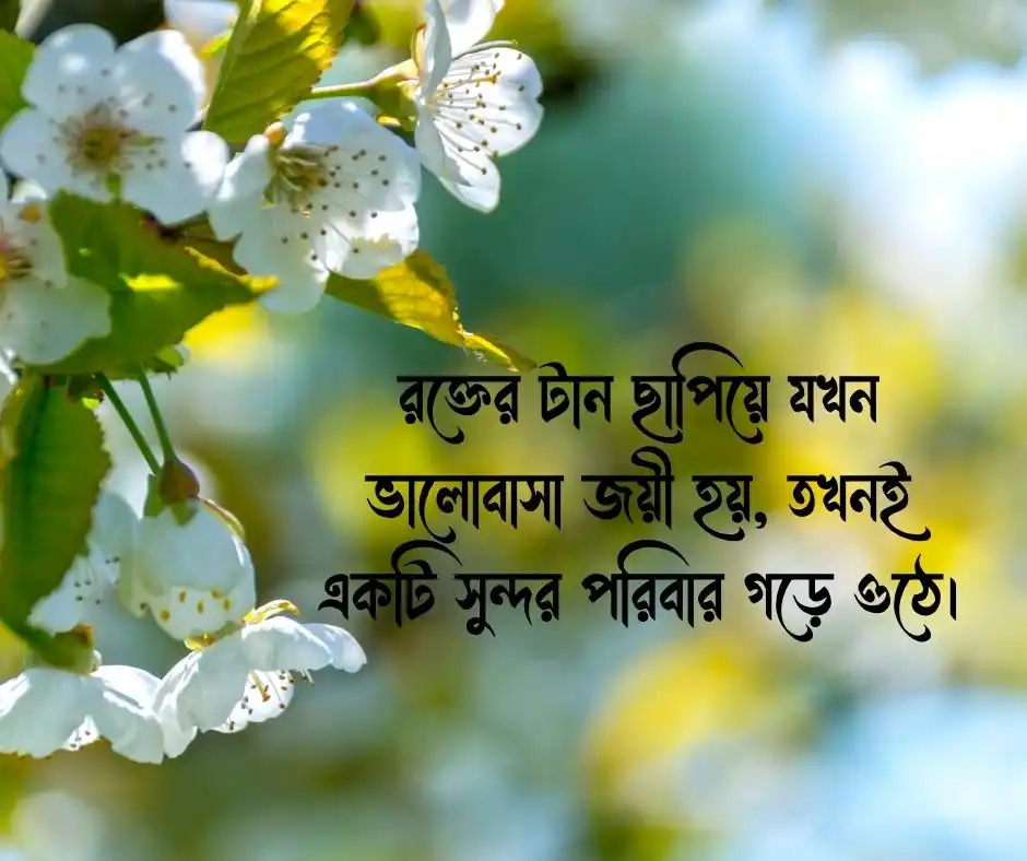 পরিবার নিয়ে ক্যাপশন Caption about Family
