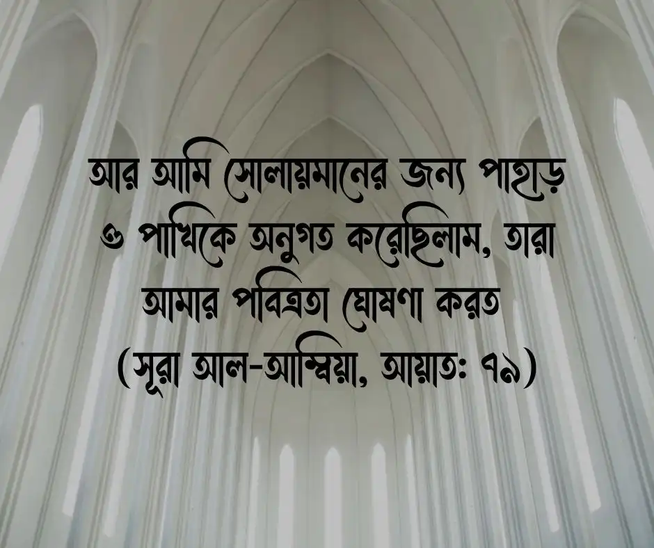 পাখি নিয়ে কোরআনের আয়াত