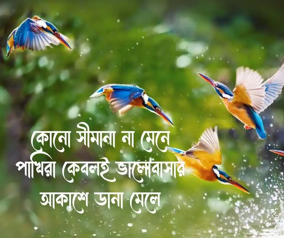 পাখি নিয়ে ক্যাপশন