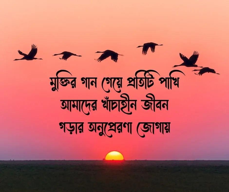 পাখি নিয়ে ক্যাপশন