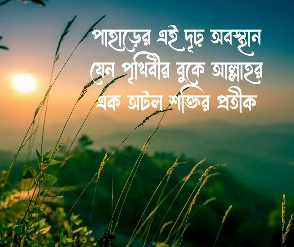 প্রকৃতি নিয়ে ইসলামিক ক্যাপশন