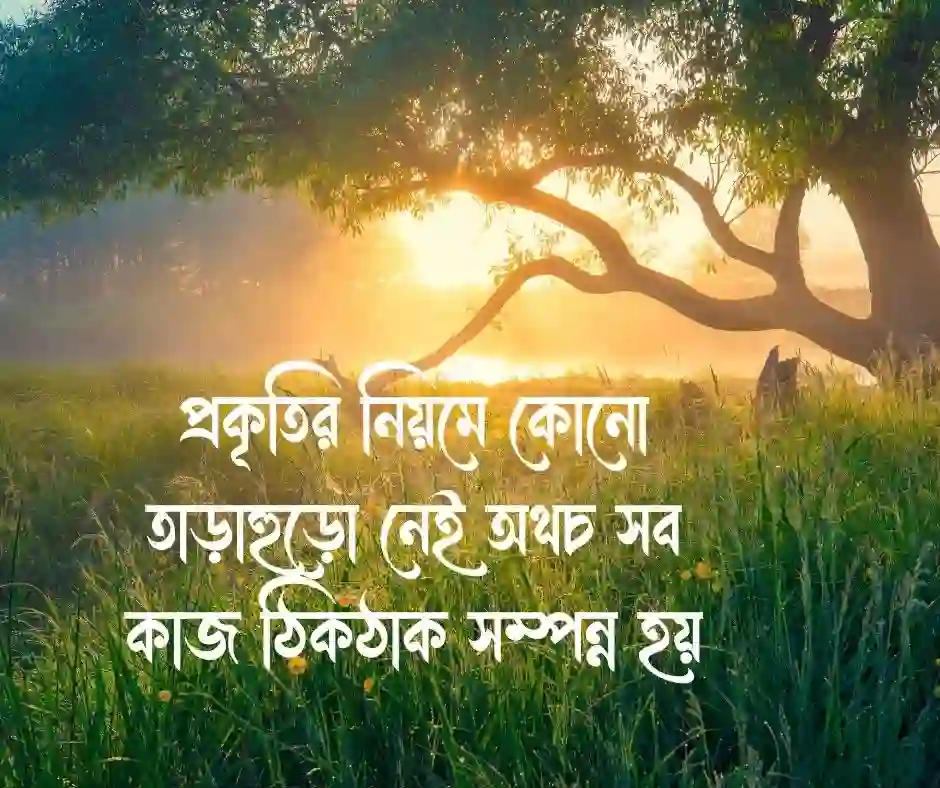 প্রকৃতি নিয়ে ক্যাপশন বাংলা